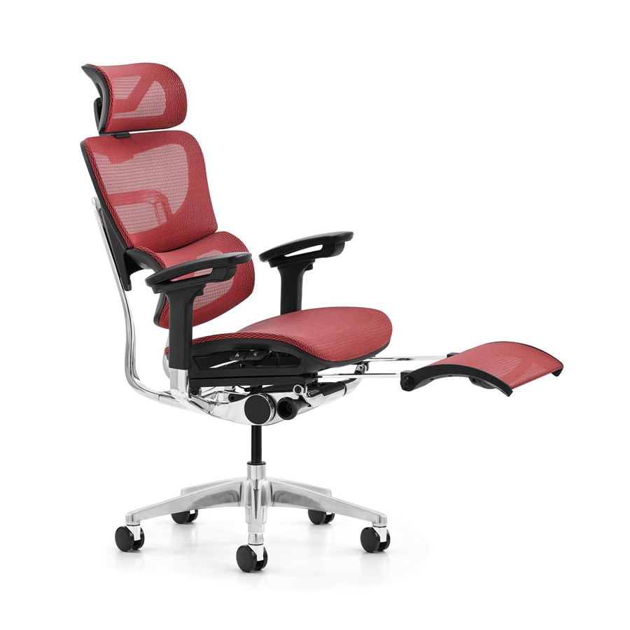 Which ergonomic chair is better for your client Which ergonomic chair is better for your client