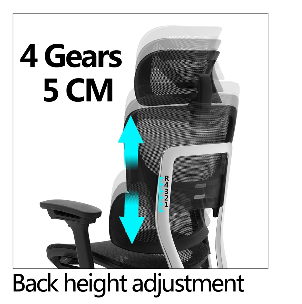 Which ergonomic chair is better for your client Which ergonomic chair is better for your client