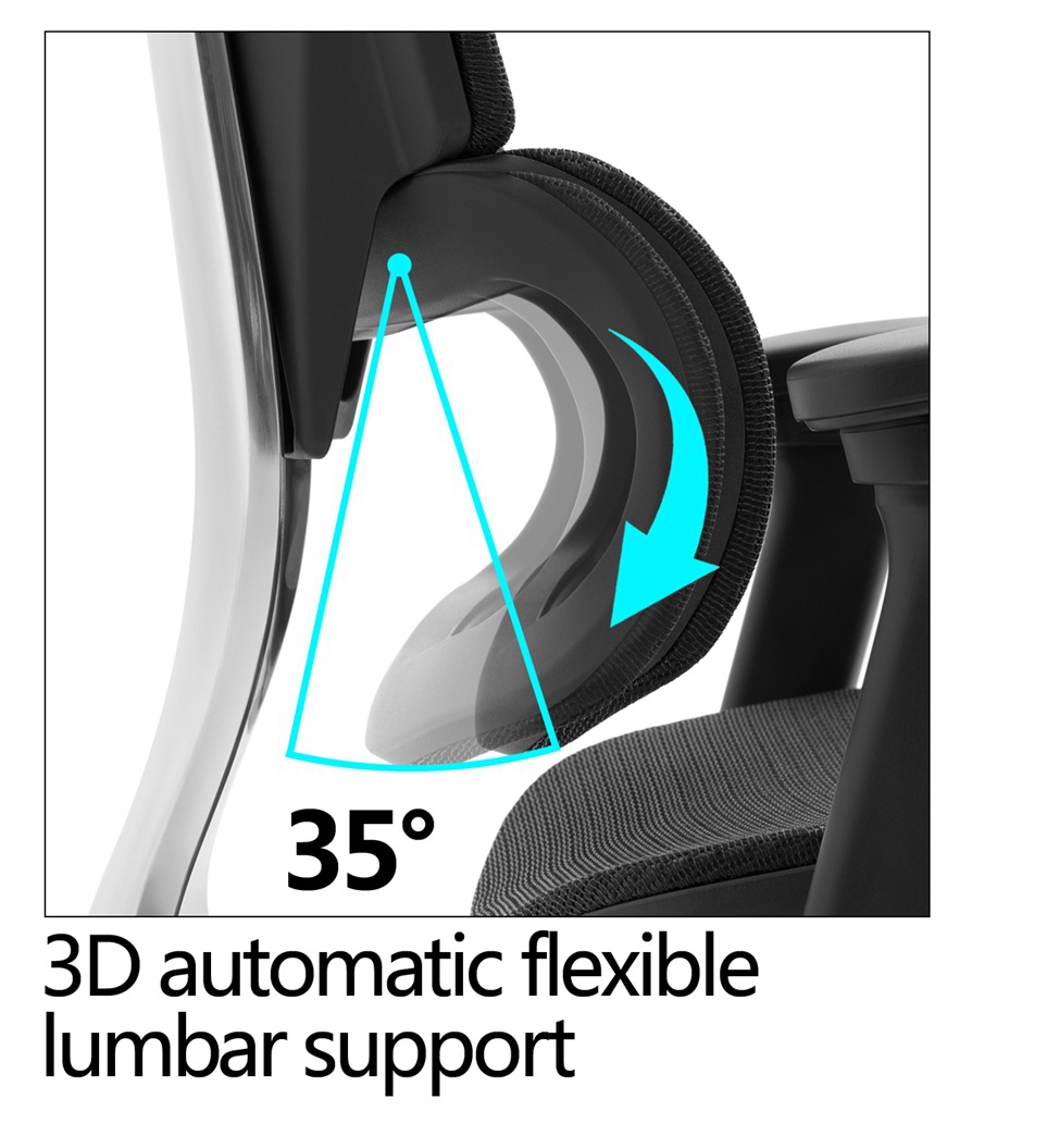 Which ergonomic chair is better for your client Which ergonomic chair is better for your client