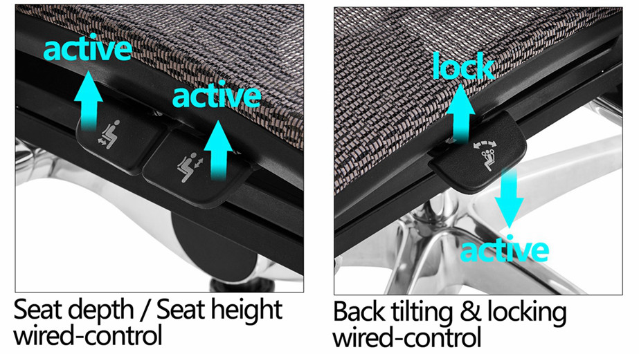 Which ergonomic chair is better for your client Which ergonomic chair is better for your client