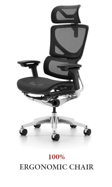 New Office Mesh Ergonomic Executive Chair with 4D Armrest