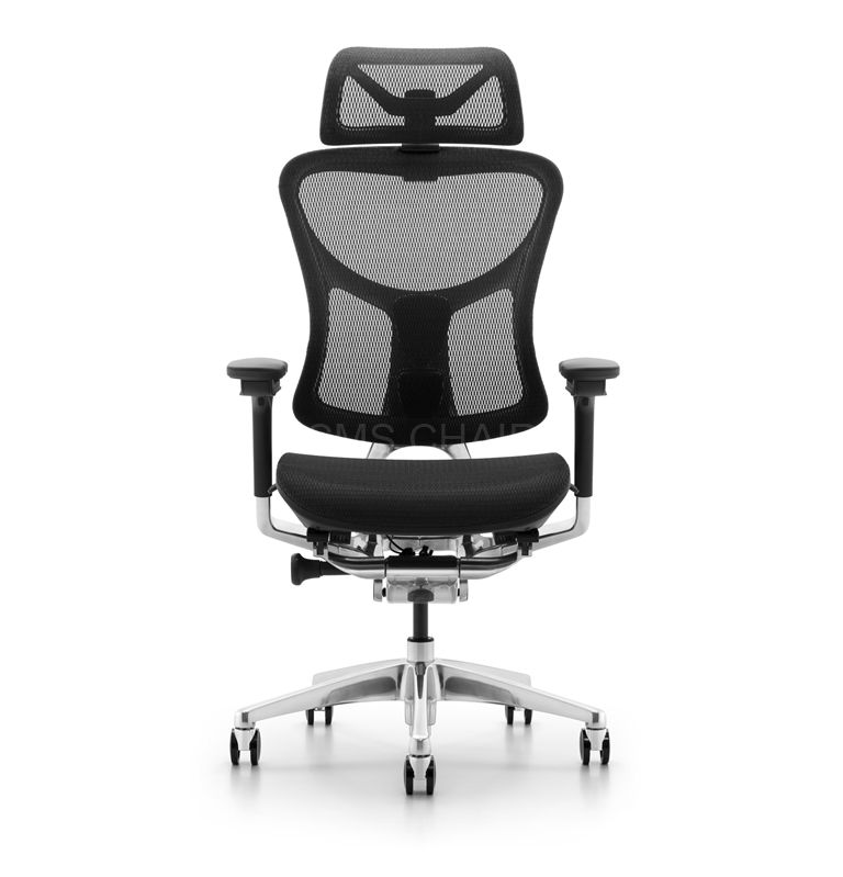 Passed BIFMA Standard Luxury Ergonomic Mesh Office Chair