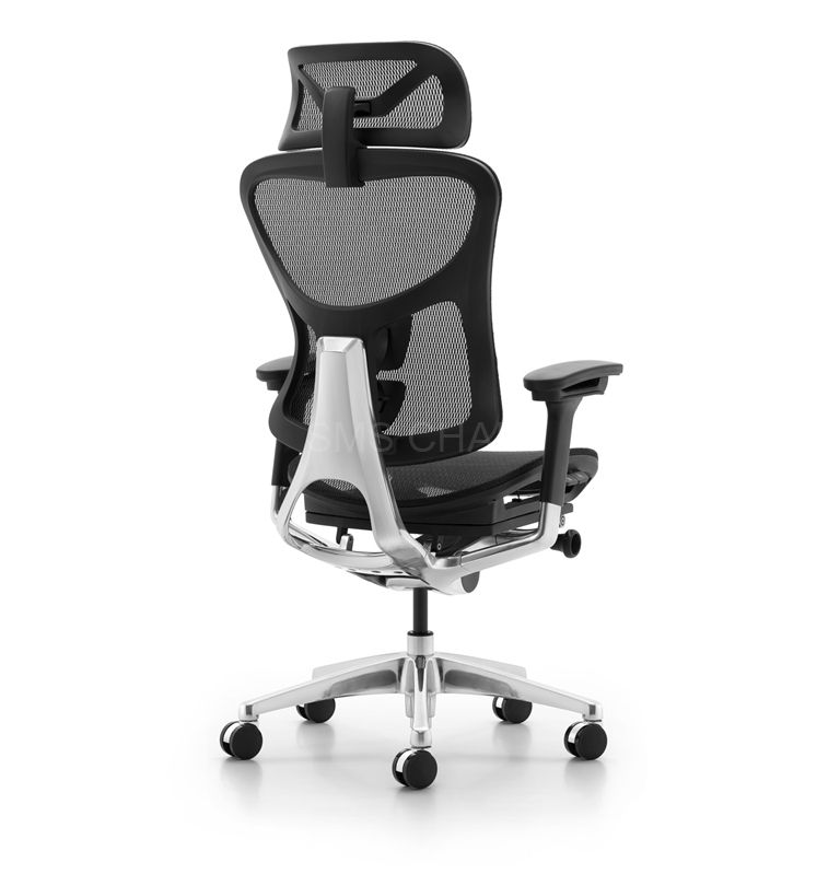Passed BIFMA Standard Luxury Ergonomic Mesh Office Chair