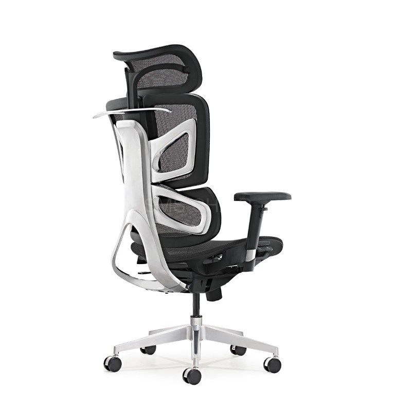 Ergonomic Luxury Office Mesh Chair With Dynamic Backrest