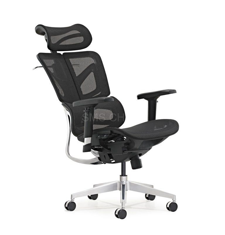 Ergonomic Luxury Office Mesh Chair With Dynamic Backrest
