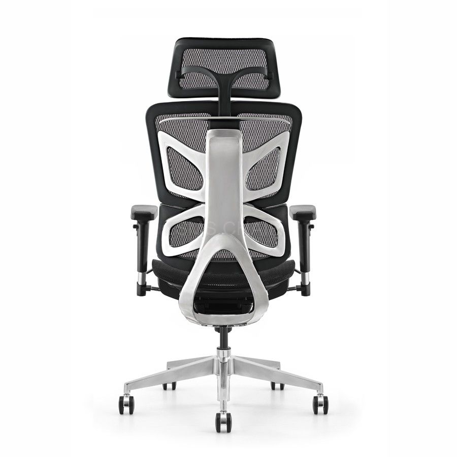 Ergonomic Luxury Office Mesh Chair With Dynamic Backrest