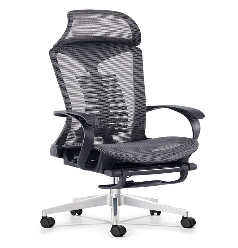 2024 Modern Style Mesh Ergonomic Office Chair With Footrest 2024 Modern Style Mesh Ergonomic Office Chair With Footrest