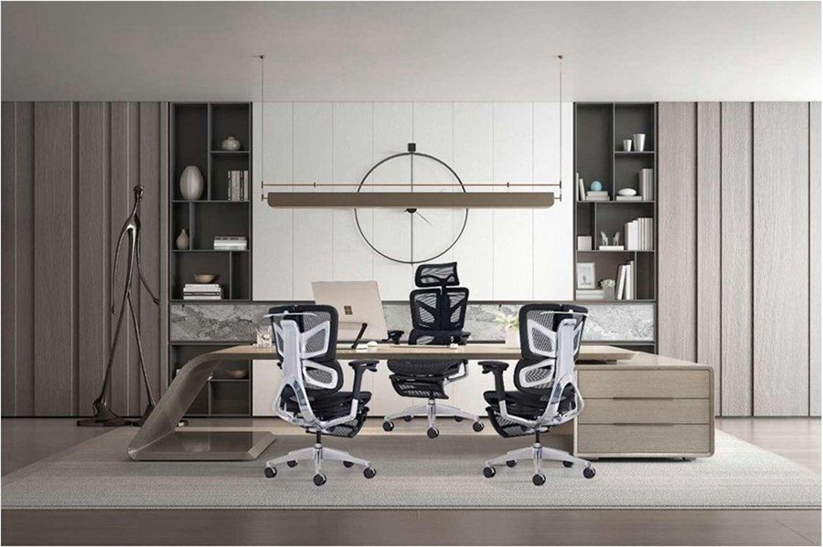 Ergonomic Luxury Office Mesh Chair With Dynamic Backrest